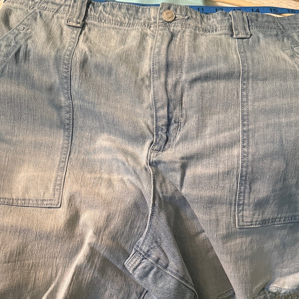 Anthroplogy Denim Jean short